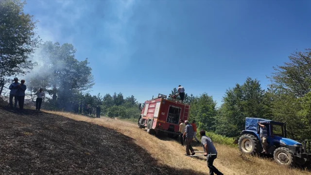Düzce Yığılca'daki Yangın Kısa Sürede Kontrol Altına Alındı
