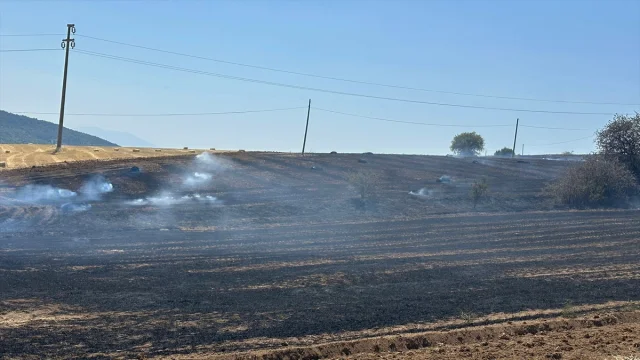 Isparta'da Ekin Tarlasında Çıkan Yangın Korkuttu
