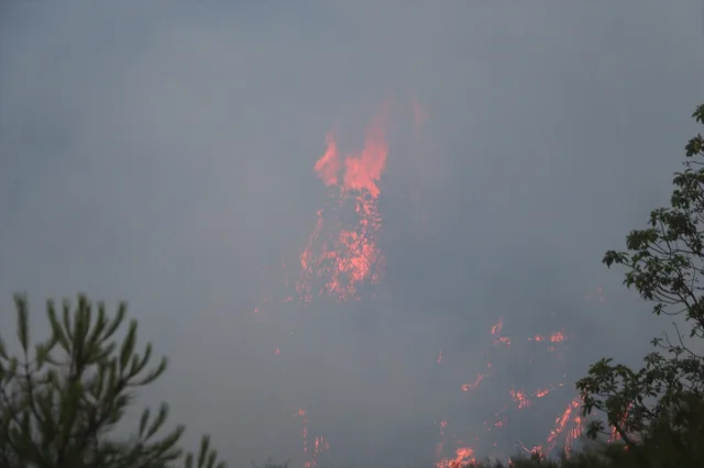 Lazkiye'deki Yangınlar Kontrol Altına Alınamıyor