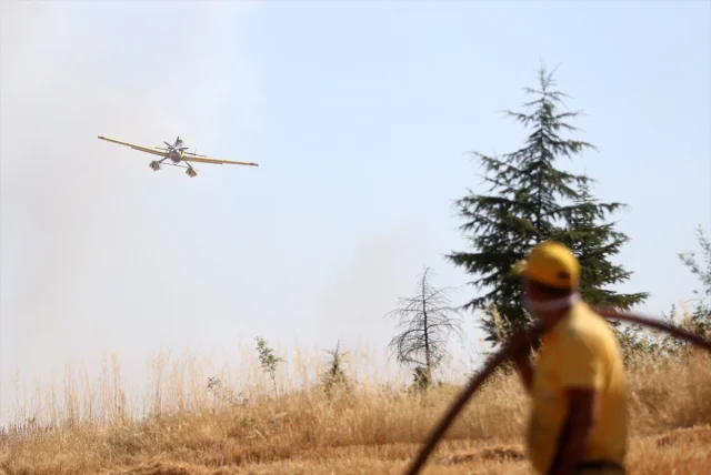 Kırklareli'nde Orman Yangını Söndürme Çalışmaları Başarıyla...
