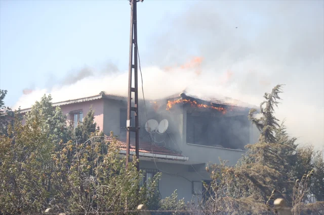 Kırklareli'nde Orman Yangını Söndürme Çalışmaları Başarıyla Tamamlandı