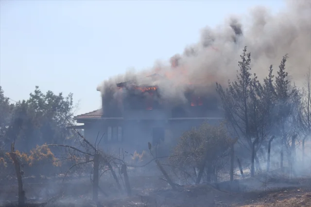 Kırklareli'nde Orman Yangını Söndürme Çalışmaları Başarıyla Tamamlandı