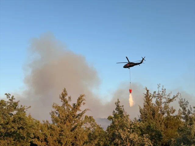 Bursa Orman Yangını: Ekipler Havadan ve Karadan Müdahale Ediyor