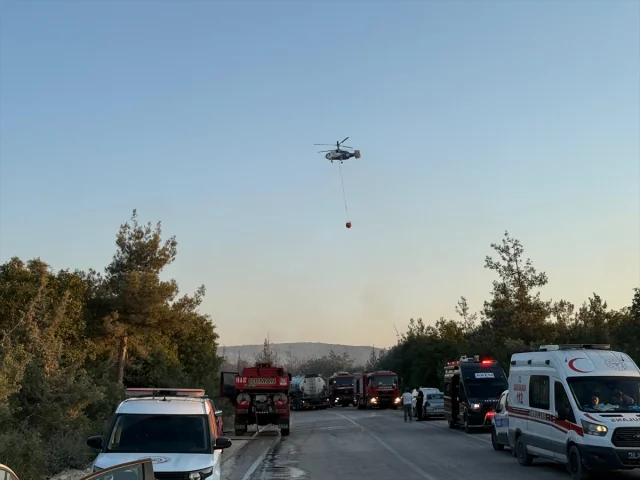 Bursa Orman Yangını: Ekipler Havadan ve Karadan Müdahale Ediyor