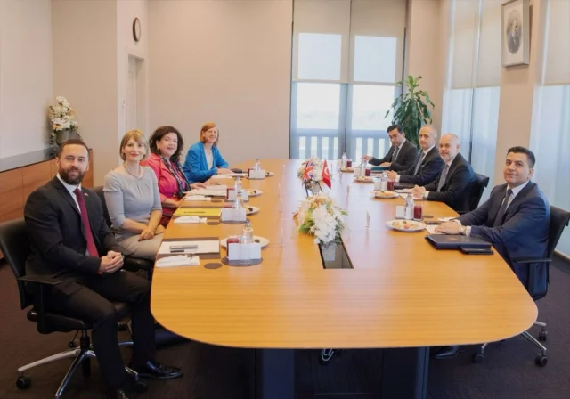 Başdanışman Kılıç ile Birleşik Krallık Temsilcisi Pierce Ank...