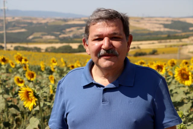 Tekirdağ'ın Ayçiçeği Tarlaları Fotoğrafçıların Gözdesi Oldu
