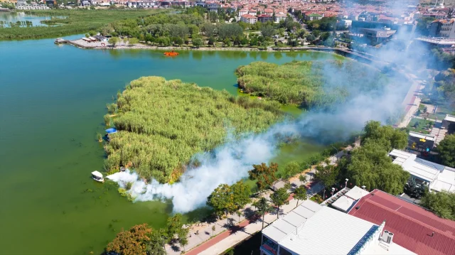 Mogan Gölü'nde Mücadele Başladı: Ekipler Müsilajı Temizliyor