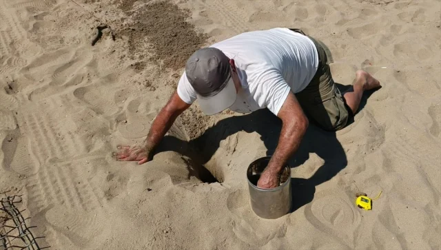 İzmir'de Caretta Caretta Yuvalama Alanları Koruma Altına Alındı