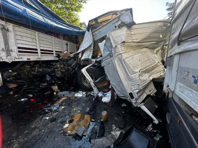 Adana'da Zincirleme Kaza: 3 Tır Çarpıştı, 1 Kişi Hayatını Kaybetti