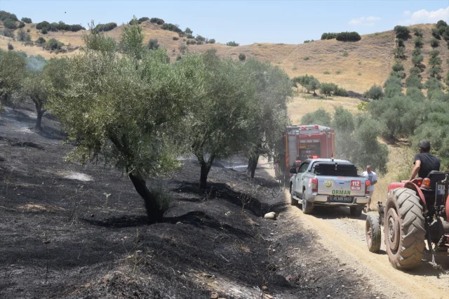 Manisa’da Tarım Arazisindeki Yangın Kontrol Altında: Müdahale ve Detaylar