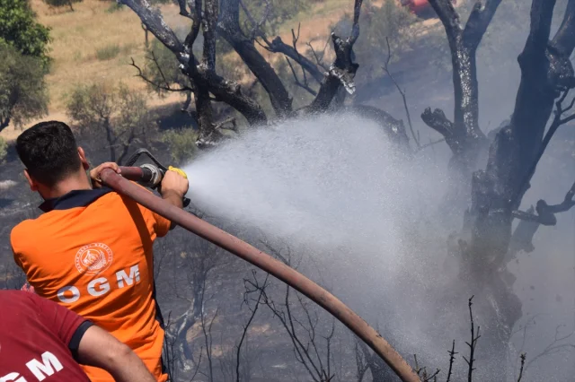 Manisa’da Tarım Arazisindeki Yangın Kontrol Altında: Müdahale ve Detaylar
