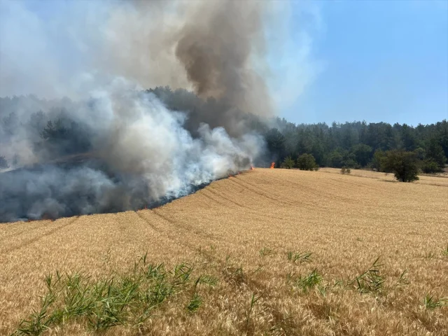 Bilecik'te Orman Yangınına Havadan ve Karadan Müdahale