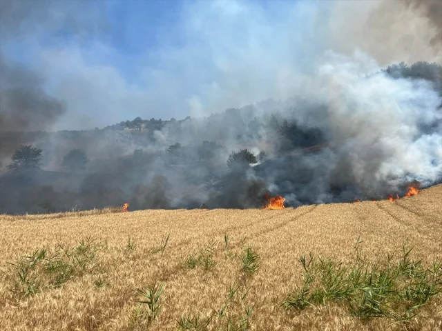 Bilecik'te Orman Yangınına Havadan ve Karadan Müdahale