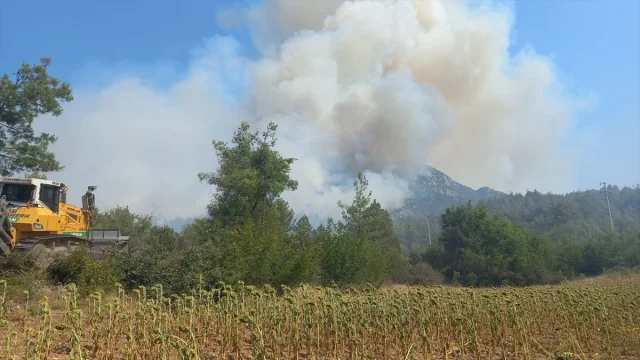Bilecik'teki Yangın Ormanları Tehdit Ediyor! Ekipler Seferbe...