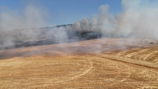 Amasya'da Tarım Arazisindeki Yangın Hızla Kontrol Altına Alı...