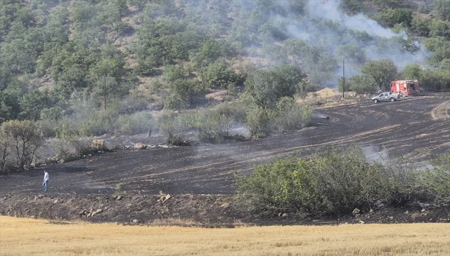 Bayat'ta Korkutan Yangın Kontrol Altına Alındı