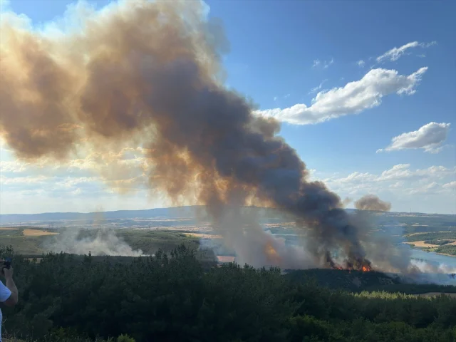 Tekirdağ’da Kontrol Edilemeyen Orman Yangınına Yoğun Müdahal...