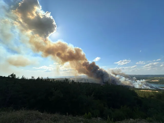 Tekirdağ’da Kontrol Edilemeyen Orman Yangınına Yoğun Müdahale