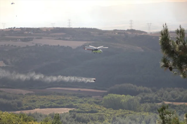 Tekirdağ'da Orman Yangınına Hızla Müdahale: Havadan ve Karadan Ekipler Seferber Edildi