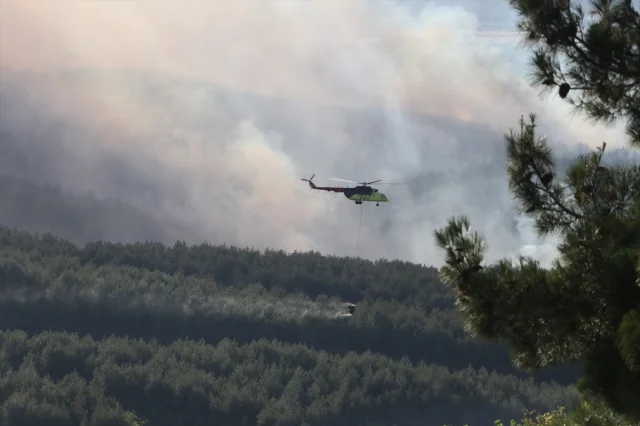 Tekirdağ'da Orman Yangınına Hızla Müdahale: Havadan ve Karadan Ekipler Seferber Edildi