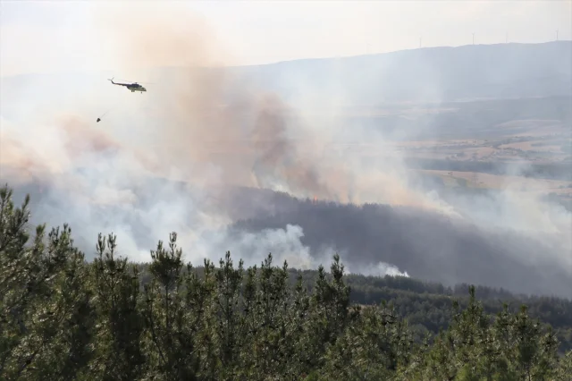 Tekirdağ'da Orman Yangınına Hızla Müdahale: Havadan ve Karadan Ekipler Seferber Edildi