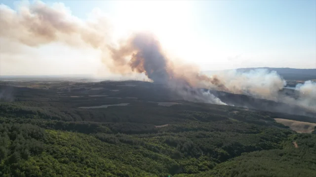 Tekirdağ'da Orman Yangınına Hızla Müdahale: Havadan ve Karadan Ekipler Seferber Edildi