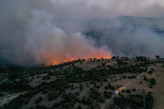 Bursa ile Balıkesir Arasındaki Orman Yangınına Karadan ve Havadan Müdahale Ediliyor