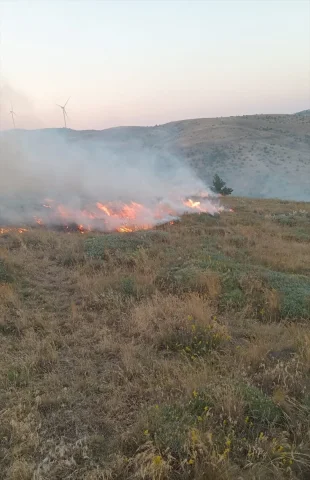 Tokat'ta Anız Yangını 50 Dönümlük Alana Zarar Verdi