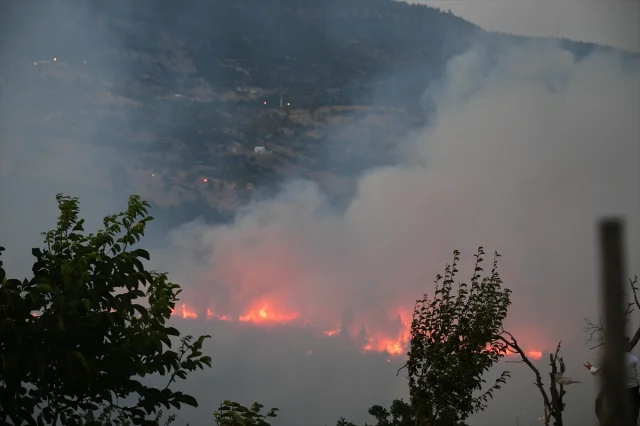 Bursa ile Balıkesir Arasındaki Orman Yangınına Karadan ve Havadan Müdahale Ediliyor