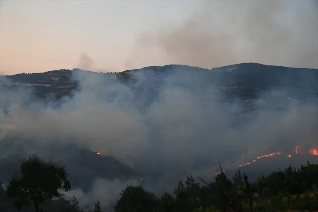 Bursa ile Balıkesir Arasındaki Orman Yangınına Karadan ve Havadan Müdahale Ediliyor