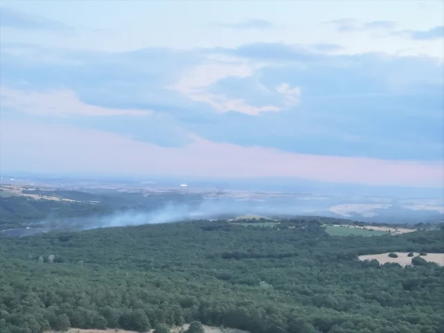 Edirne Orman Yangınına Anında Müdahale Felaketi Önledi