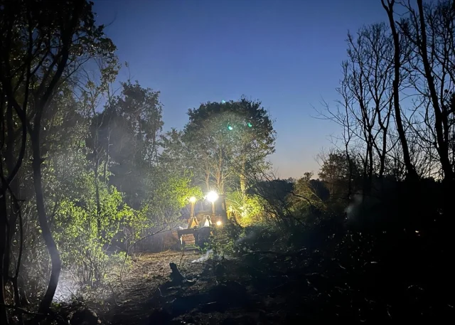 Edirne Orman Yangınına Anında Müdahale Felaketi Önledi