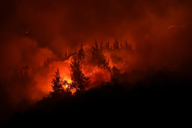 Bursa ile Balıkesir Arasındaki Orman Yangınına Karadan ve Havadan Müdahale Ediliyor