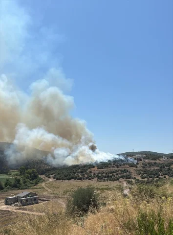 Milas'taki Ziraat Alanındaki Yangın Kontrol Altına Alındı