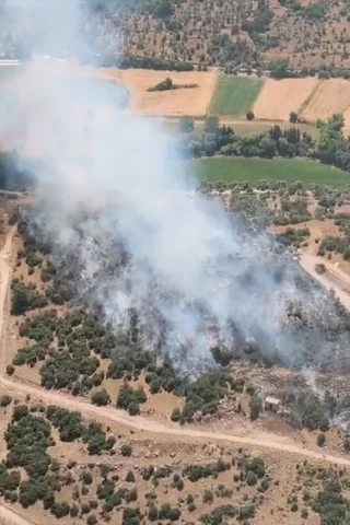 Milas'taki Ziraat Alanındaki Yangın Kontrol Altına Alındı