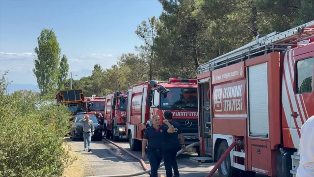 Aydos Ormanı'nda Çıkan Yangın Kontrol Altına Alındı: İstanbul'u Rahatlattı