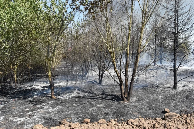 Kırklareli'nde Tehlike Anız Yangınıyla Geldi