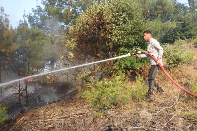 Amasya'da Orman Yangını Hızlı Müdahale ile Kontrol Altında