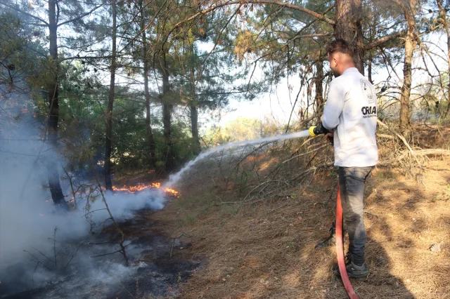 Amasya'da Orman Yangını Hızlı Müdahale ile Kontrol Altında
