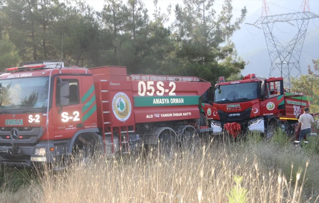Amasya'da Orman Yangını Hızlı Müdahale ile Kontrol Altında
