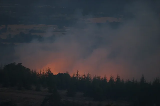 Kırklareli'nde Korkutan Orman Yangını Kontrol Altına Alındı