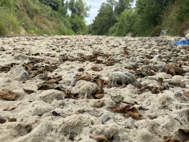 Sakarya'nın Doğal Harikası Maden Deresi Kuraklık Tehdidiyle Karşı Karşıya