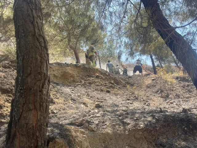 Antakya'da Yükselen Alevler Kontrol Altına Alındı: Yangından Geride Kalanlar