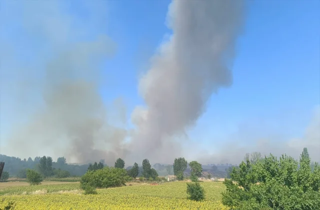 Edirne'de Orman Yangınıyla Mücadelede Hava ve Kara Ekibi Sef...