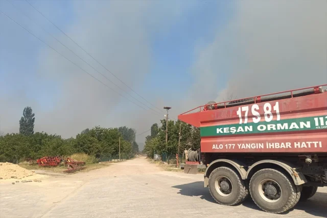 Edirne'de Orman Yangınıyla Mücadelede Hava ve Kara Ekibi Seferber
