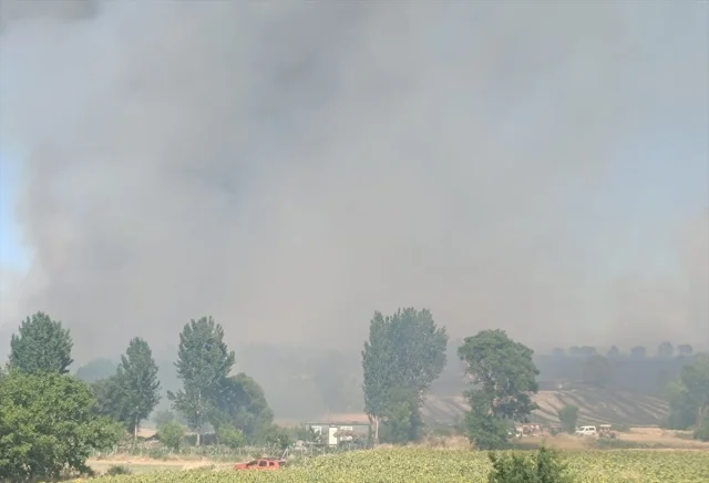 Edirne'de Orman Yangınıyla Mücadelede Hava ve Kara Ekibi Seferber