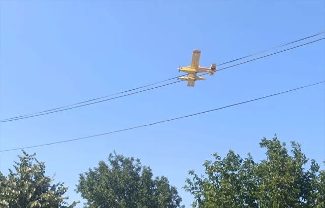 Edirne'de Orman Yangınıyla Mücadelede Hava ve Kara Ekibi Seferber