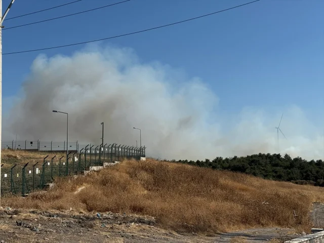 İzmir'in Urla İlçesinde Orman Yangınına Yoğun Müdahale