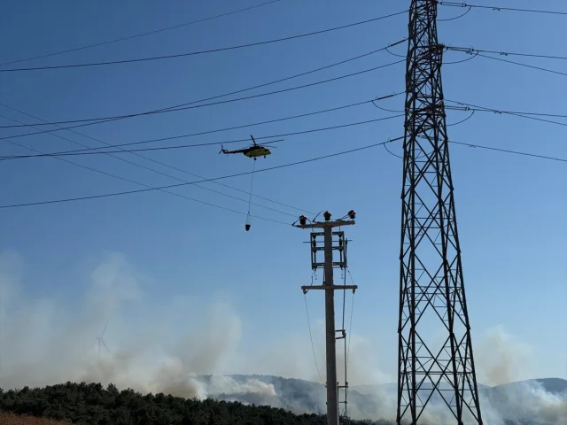 İzmir'in Urla İlçesinde Orman Yangınına Yoğun Müdahale