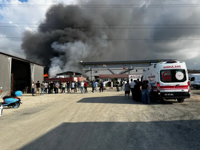 Ordu'da Geri Dönüşüm Tesisinde Büyük Yangın: Ekipler Seferber Oldu